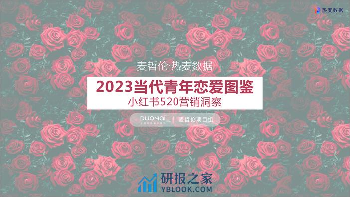 2023当代青年恋爱图鉴 - 第1页预览图