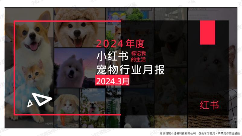 《小红书2024年宠物行业3月月报-小红书-22页》 - 第1页预览图