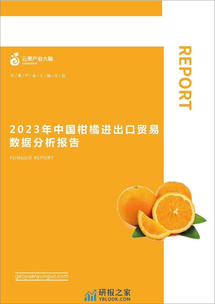 农小蜂-2023年中国柑橘进出口贸易概况 - 第1页预览图