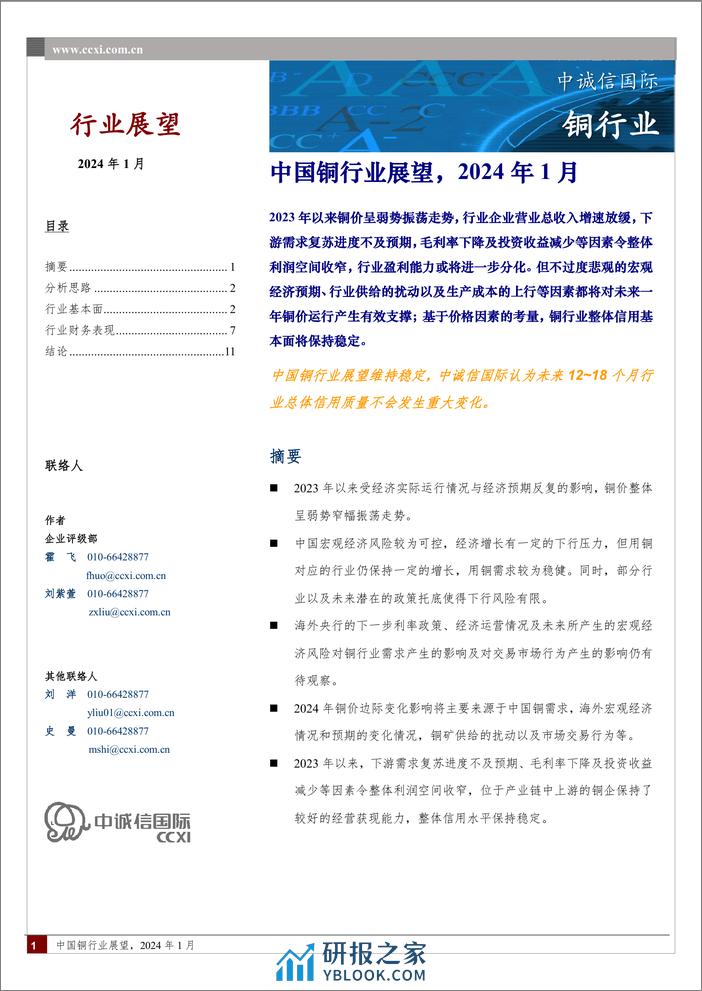 中国铜行业展望（2024年1月）-14页 - 第1页预览图