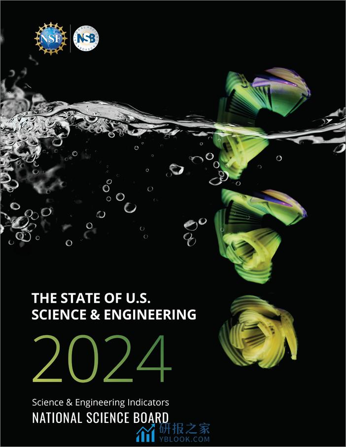 美国科学与工程现状分析2024-英文版 - 第1页预览图