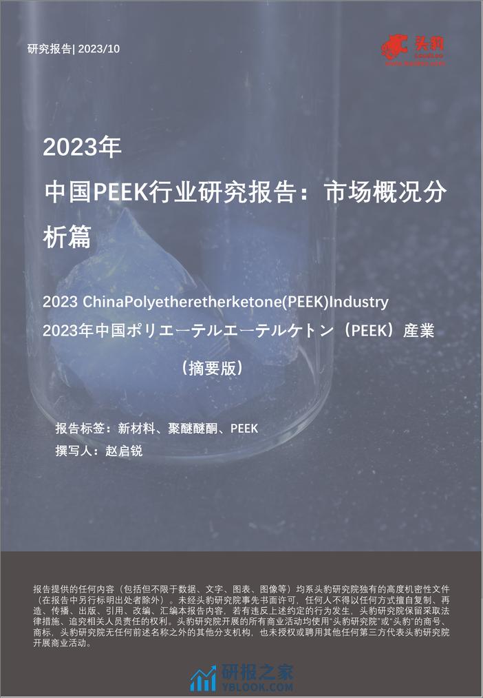 2023年中国PEEK行业研究报告-市场概况分析篇（摘要版）-头豹研究院 - 第1页预览图