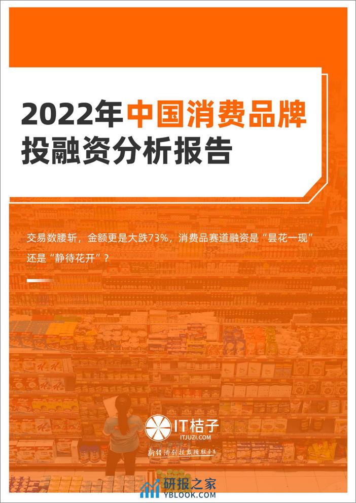 2022年中国消费品牌投融资分析报告（2022.12） - 第1页预览图