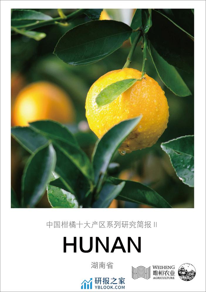 农小蜂-中国柑橘十大产区系列研究简报（二）-湖南省 - 第1页预览图