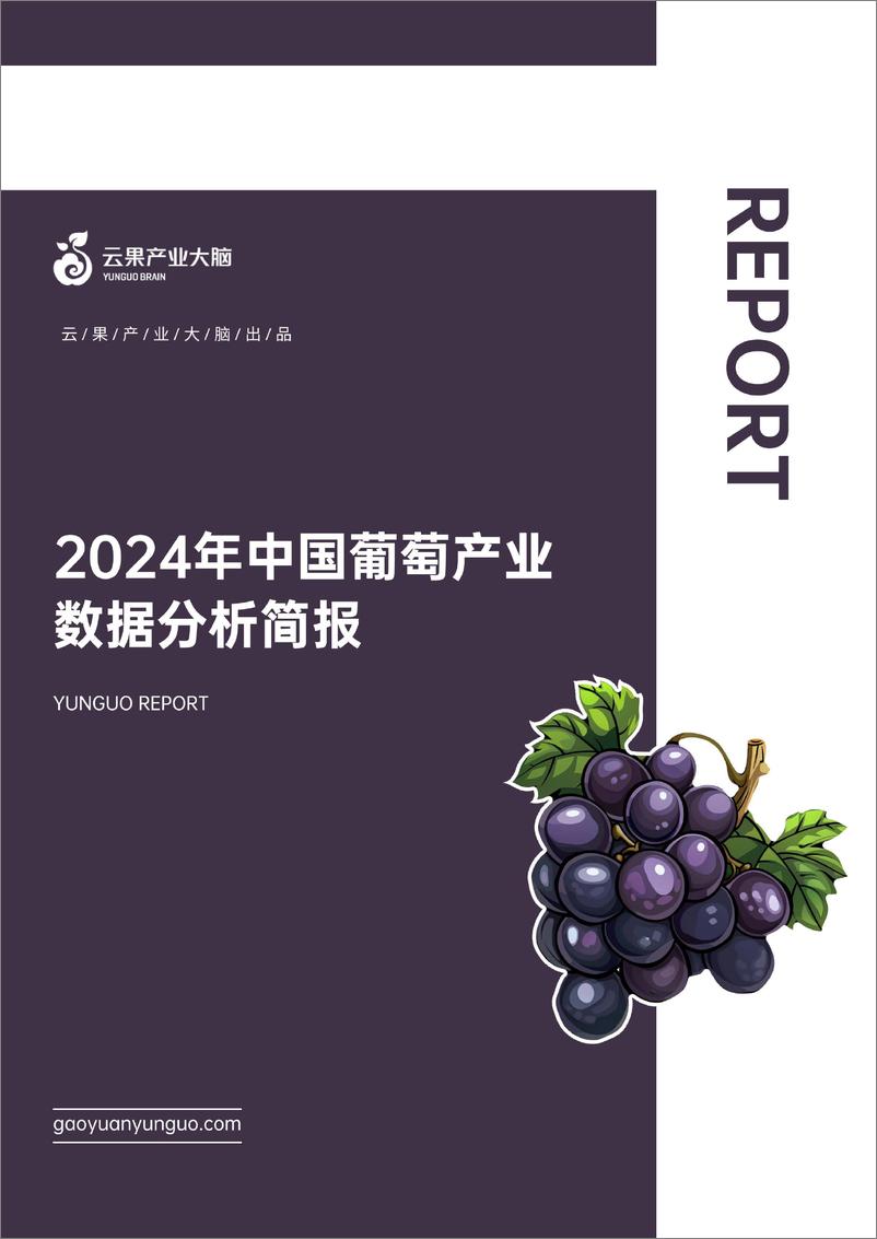 《云果：2024年中国葡萄产业数据分析简报》 - 第1页预览图
