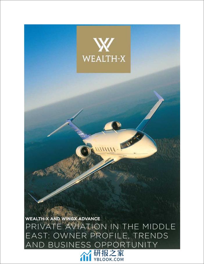 WealthX：2023年中东私人飞机报告 - 第1页预览图